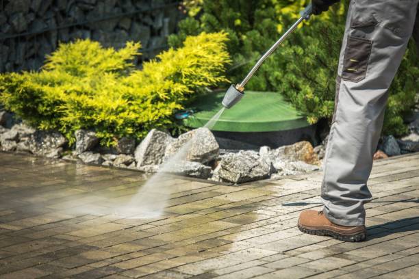 Best Animal Enclosure Cleaning  in Tavernier, FL