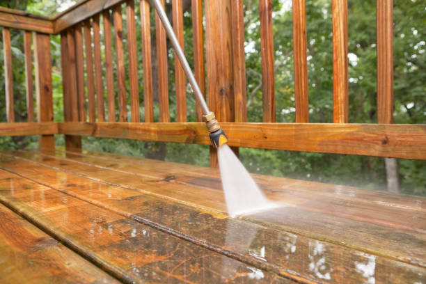 Best Building Exterior Washing  in Tavernier, FL